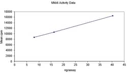Eurofins DiscoverX MKK6/SKK3 Protein, Active 10 &mu;g | Buy Online | Eurofins DiscoverX | Fisher Scientific